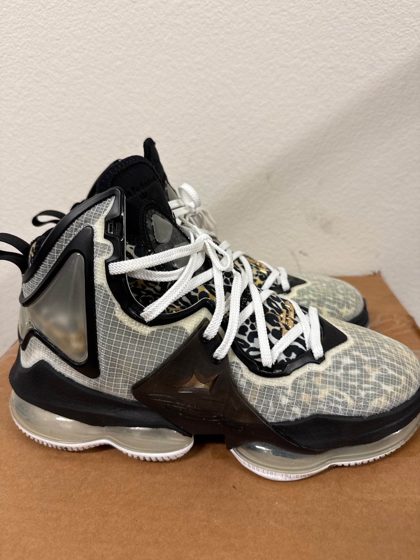 Nike Lebron XIX Royalty CZ0203-100