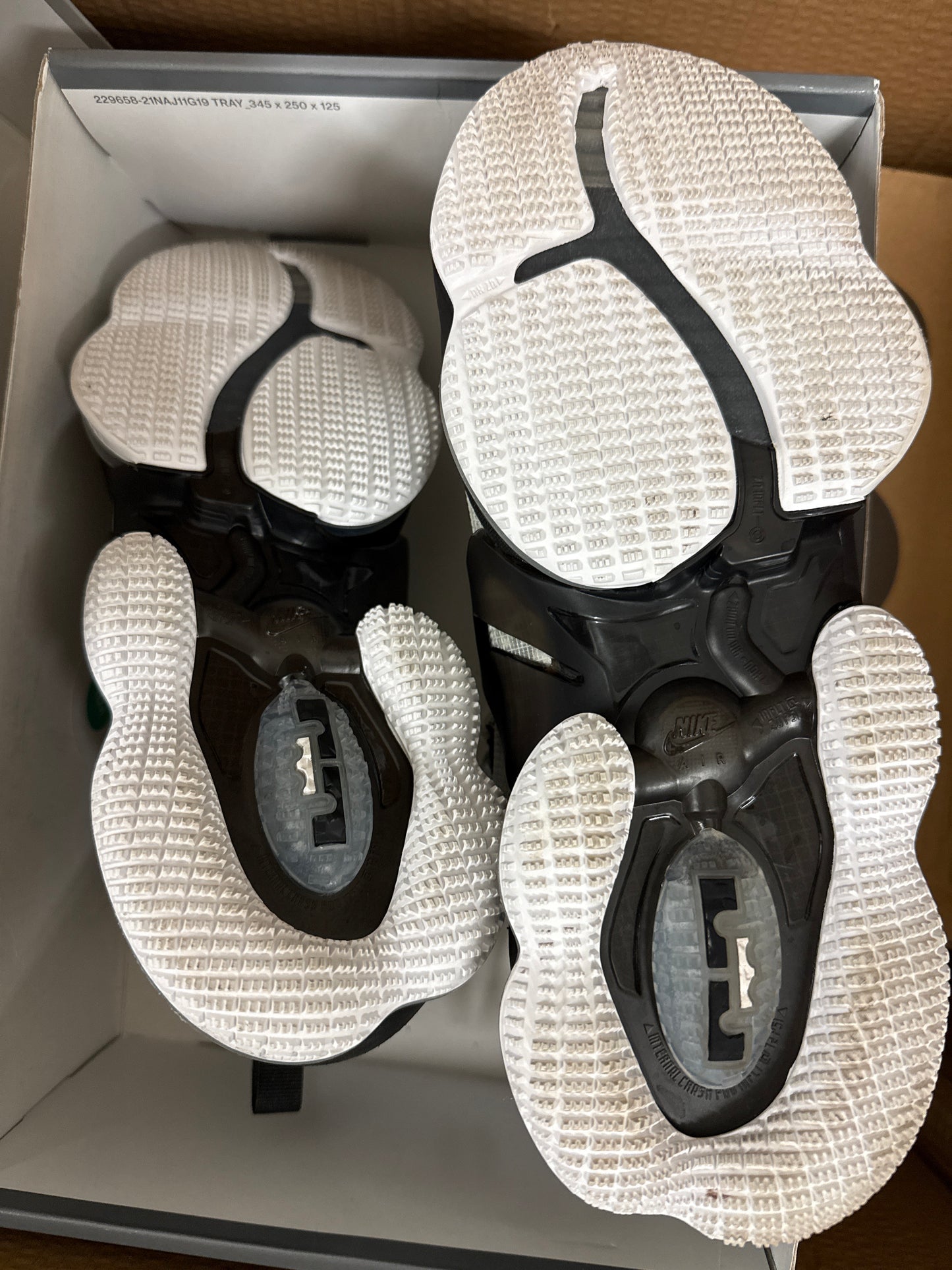 Nike Lebron XIX Royalty CZ0203-100